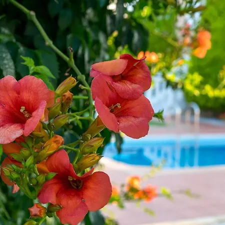 Vila Aretousa 2 *